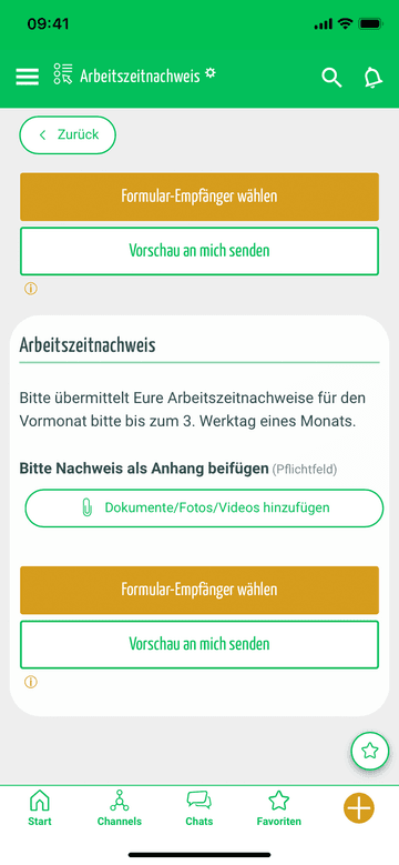 Pflege Formular